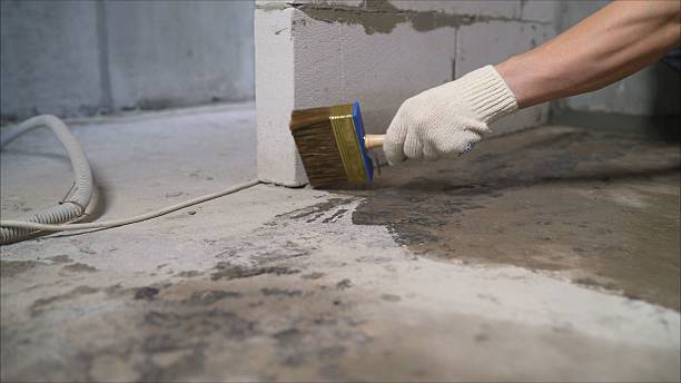 24/7 Emergency Waterproofing experts in Pullman, WA